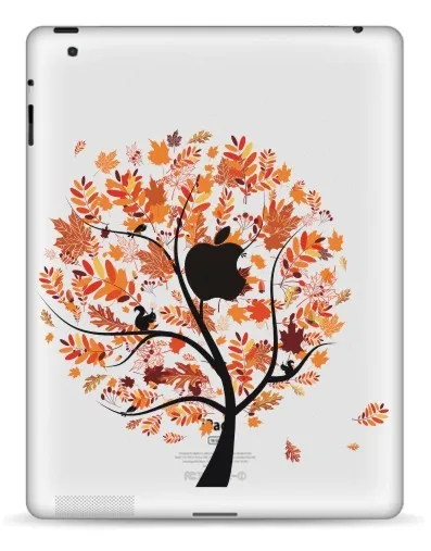 IPADcolor-2015 (121)