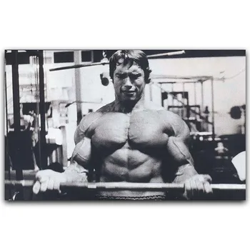 

Arnold Schwarzenegger Bodybuilding Motivational Art Silk Poster Print Fitness Inspirational Picture for Room Wall Decor