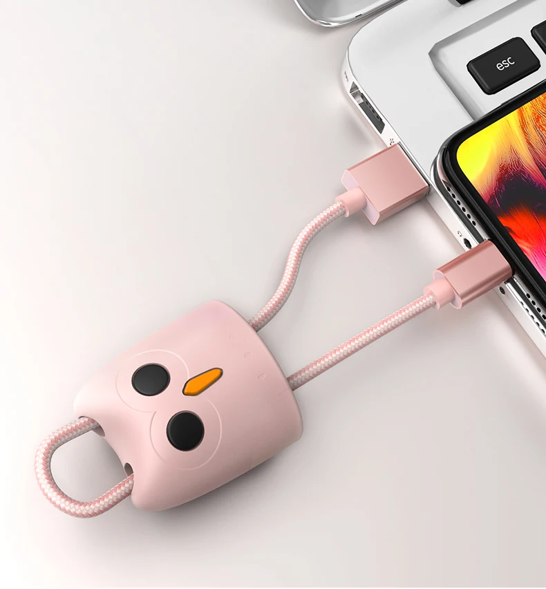 HOCO USB кабель для iPhone, зарядный кабель, двойное USB зарядное устройство для iPhone 5S 6 7 8 XS XR 2.4A зарядное устройство