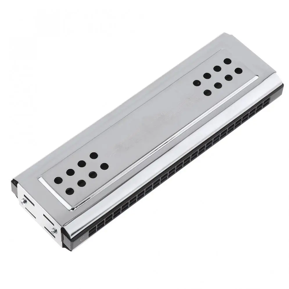Professional 24 Holes Key Of C&G Silver Double-side Tremolo Harmonica for Adult Beginner and Children