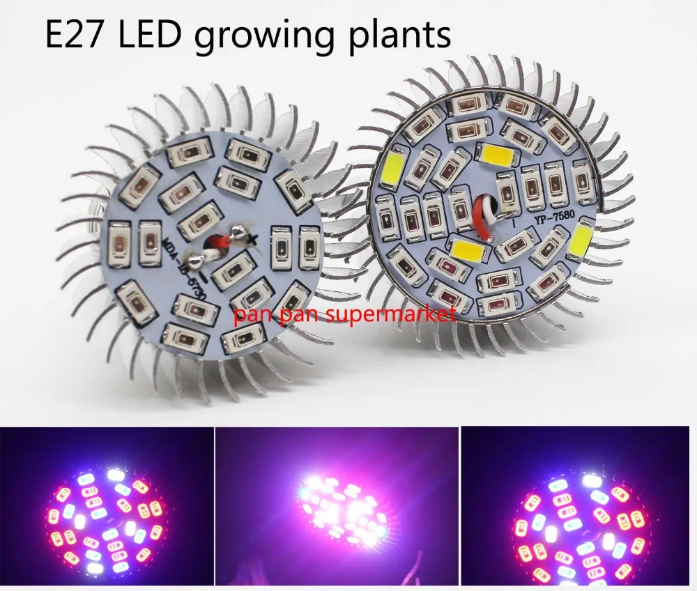 d22
