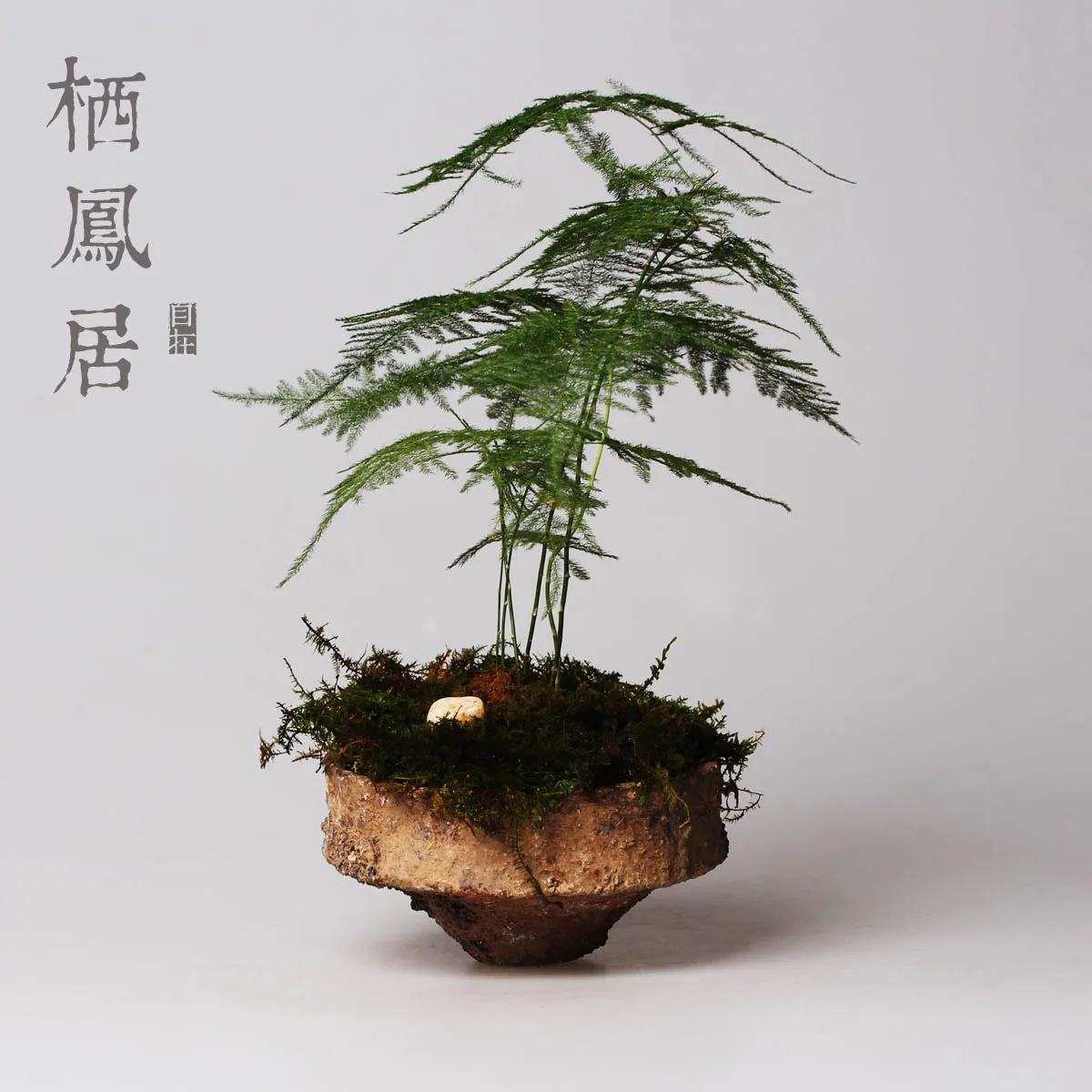 Online kopen wholesale japanse ikebana uit china japanse ikebana ...