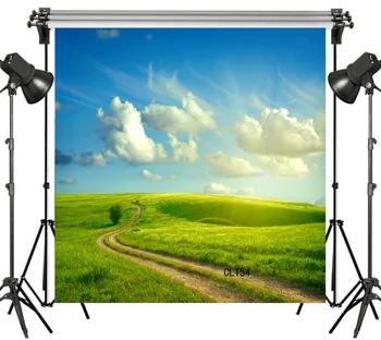 

LB Polyester & Vinyl Broad grassland Path sunny day Sunshine Clouds Backgrounds For Photo Studio Photography Backdrops Decor