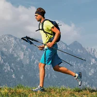Naturehike Carbon Fiber 4 Section Ultralight Trekking Poles Tungsten Steel Walking Stick Trail Running Hiking Alpenstock 1