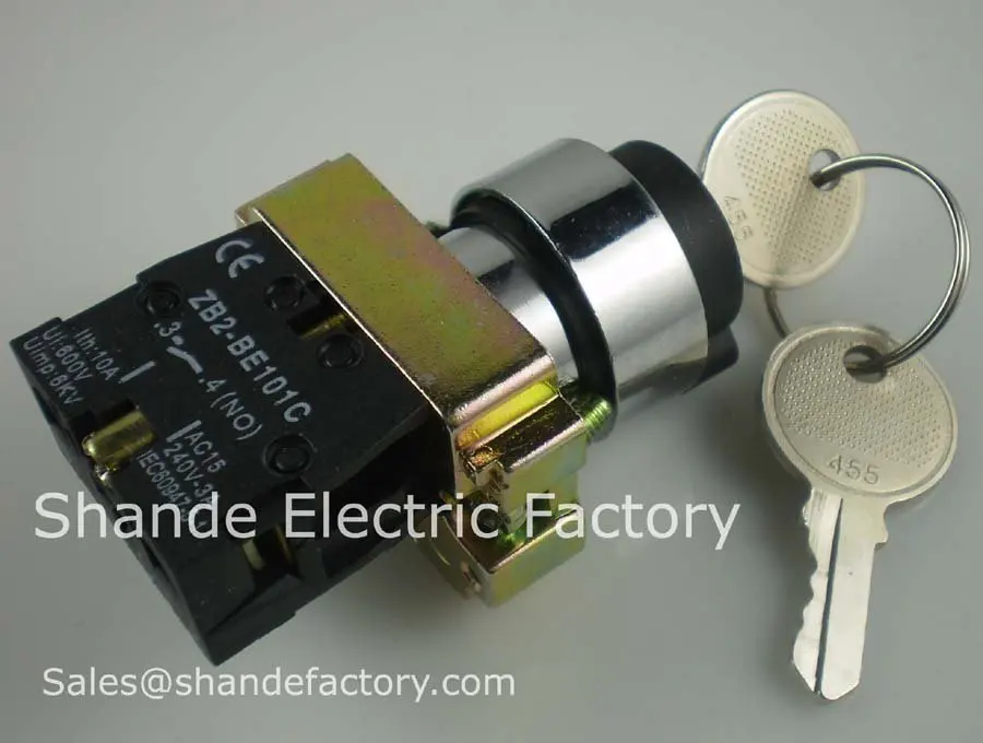 2pcs 2 Position 1 NO Normally Open 1 N/O Locked Maintained Key Switch