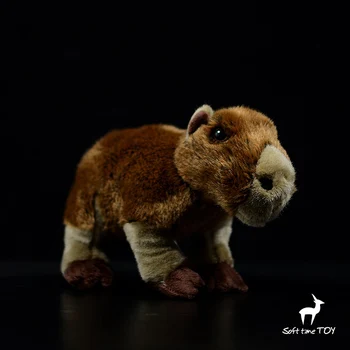 

Cute Hydrochoerus hydrochaeris Doll Real Life Stuffed Animal Dolls Holiday Gifts Soft Toy