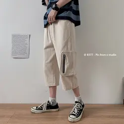 Японский тренд, на молнии, декоративные карманы, мужские брюки универсальные 2019, летние штаны для отдыха, длиной до икры, с эластичной