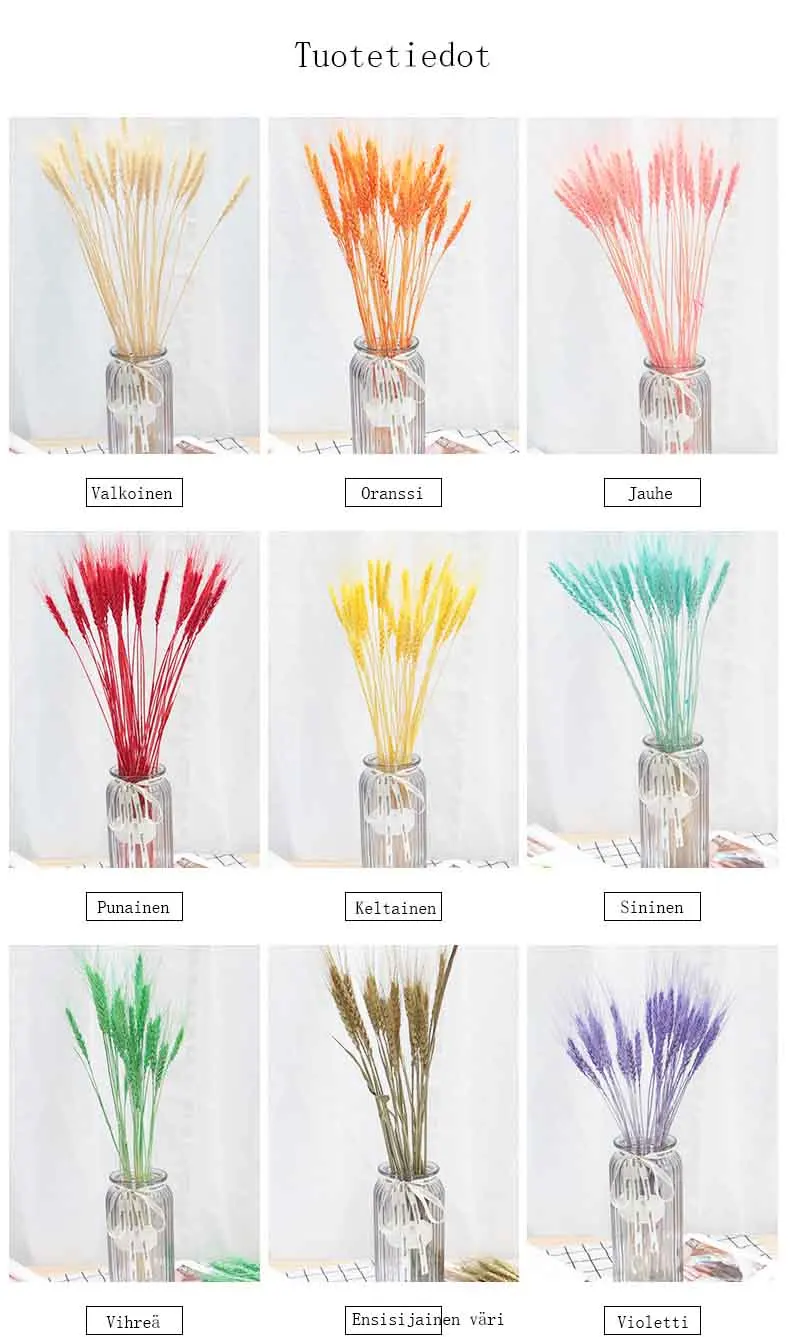 11148487239_1442471722