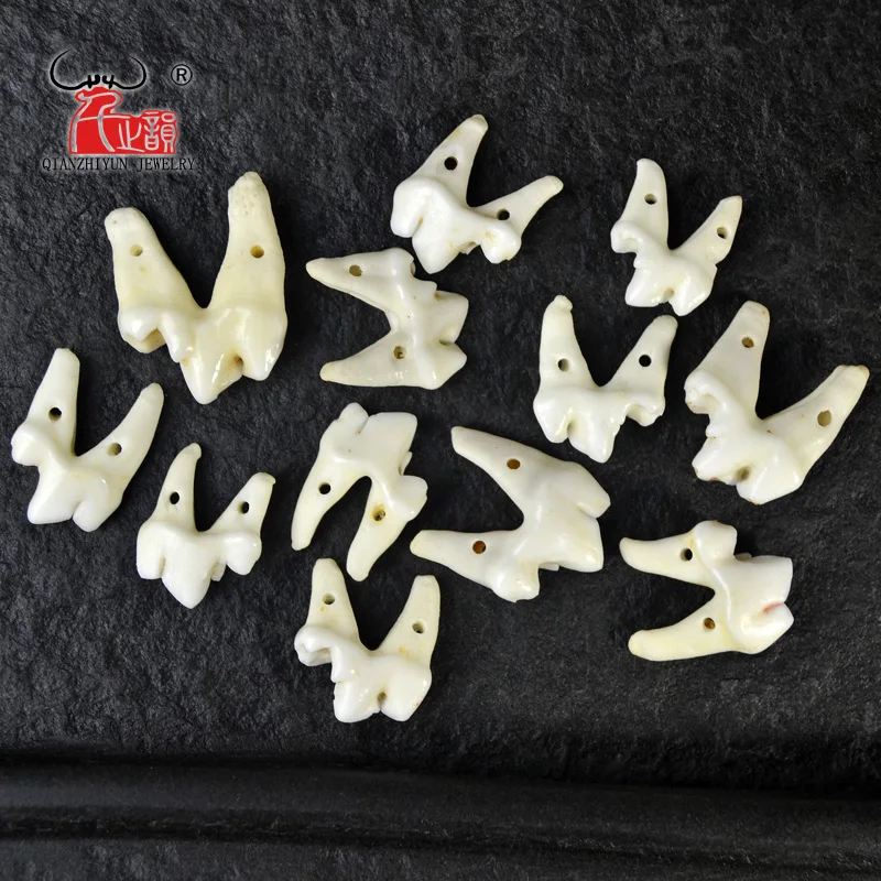10 шт белый соединенный зуб натуральный костяной бисер Подвески для Diy ювелирных изделий Модные ювелирные аксессуары 15~ 25 мм, отверстие: 1,0