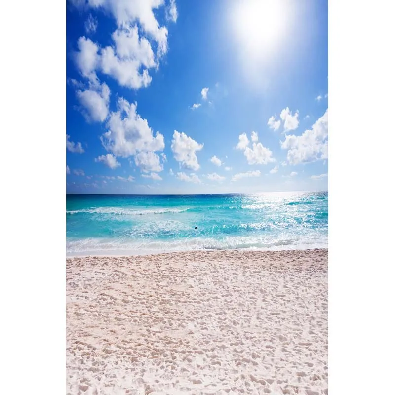 Vinyl Photography Background Computed Printed Ocean Beach Blue Sky