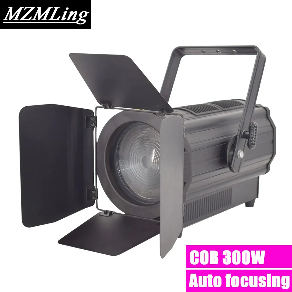 

LED 300w COB White/Warm White Studio Light DMX512 Par Light Stage Light DJ /Bar /Party /Show Led Stage Machine