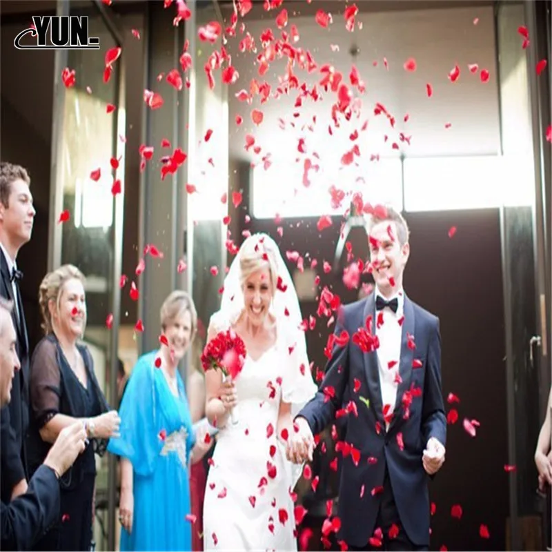 Hot Wholesale 100pcslot Atificial Petals Flowers Wedding Decorations Wedding Rose Petals Flower 7DYQ005  (26)