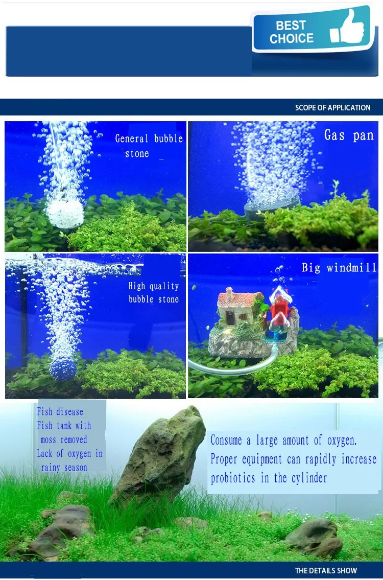 04_conew1