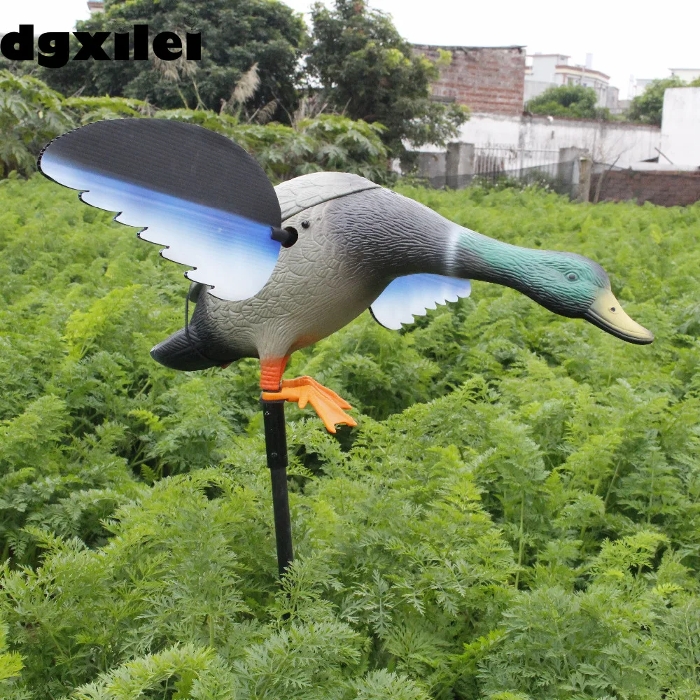 Ducks Hunting (2)