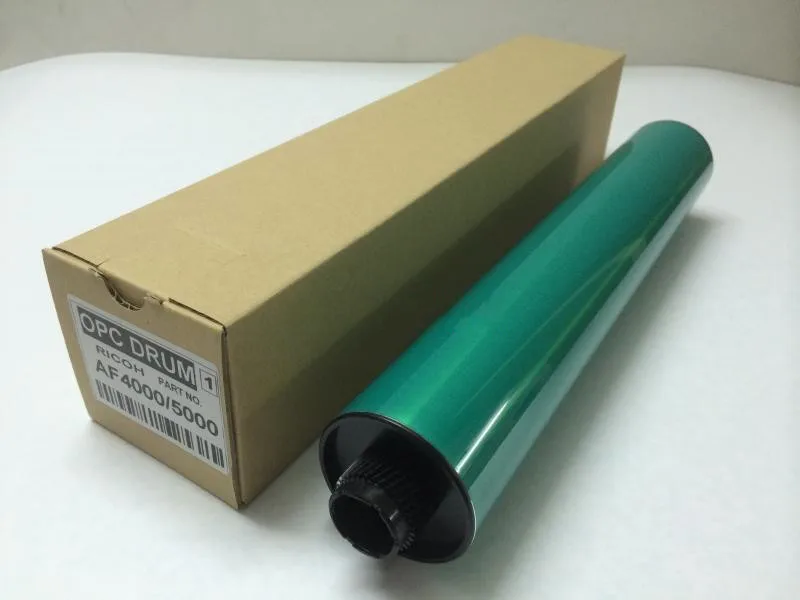 ricoh D0099510