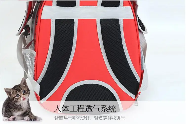 QQ20181130160345