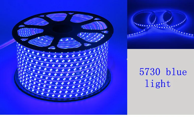 5730 double row light strip blue