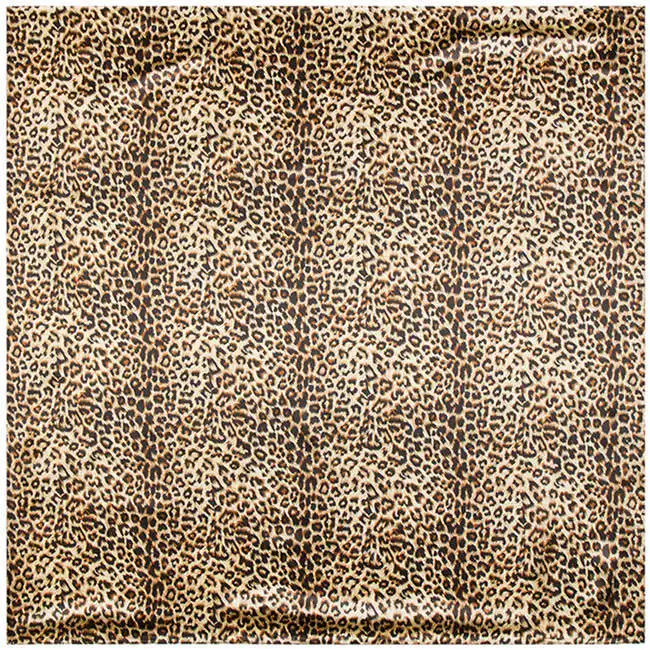 3803273916_979614248