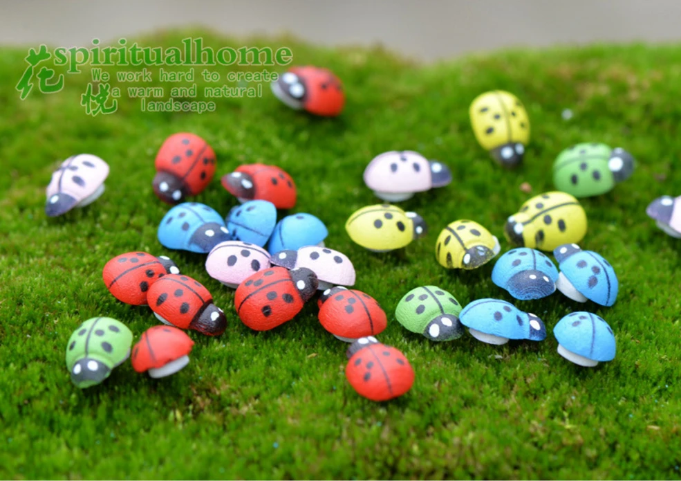 Red and mixed colors Micro landscape Bonsai gardening lady beetle