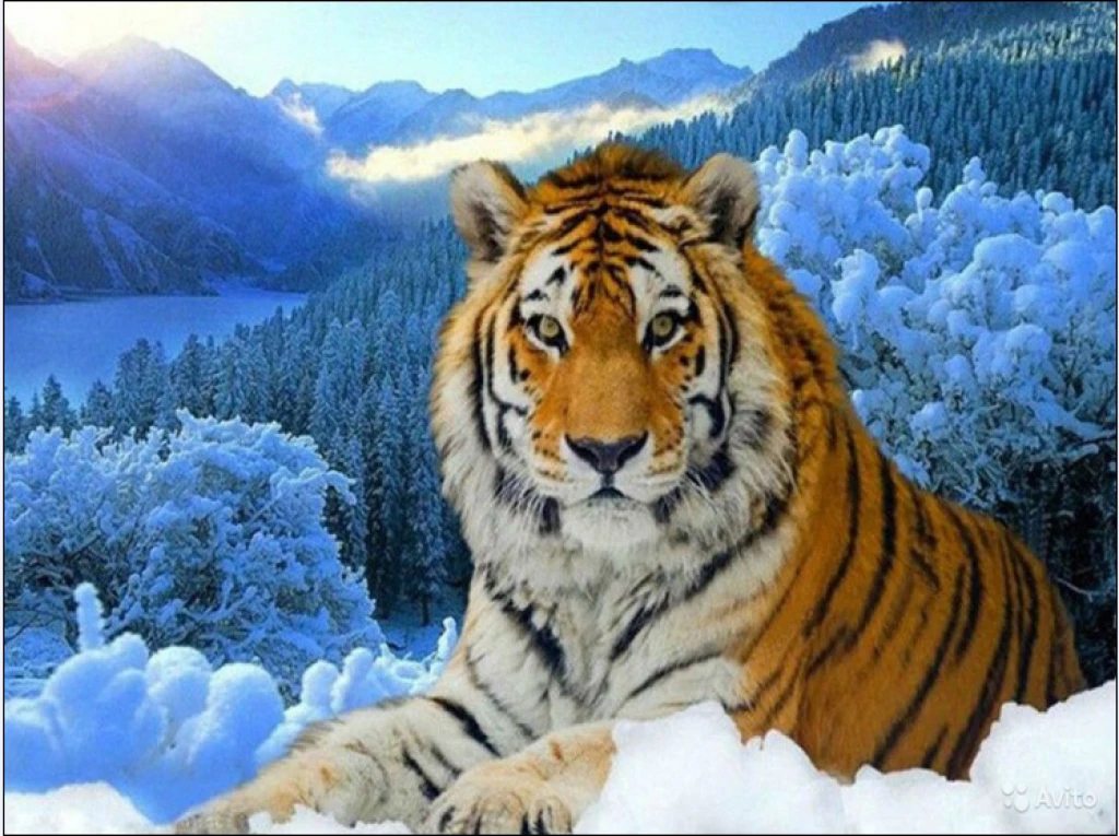 

DIY Full drilling Diamond Painting Animal Tiger Landscape snow-covered landscape Cross Stitch Diamond Embroidery Christmas gift
