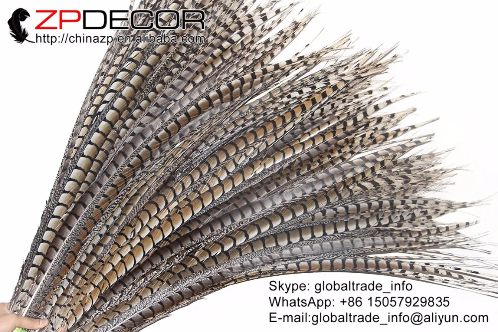 70-80cm natural lady amherst pheasant feathers (30)