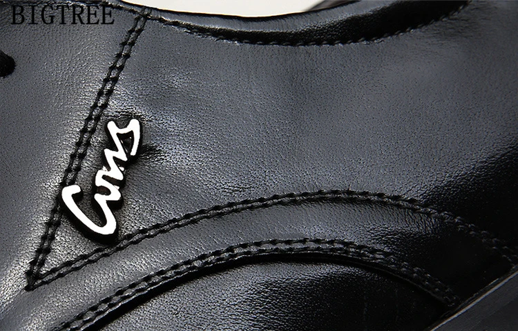 5338693305_513397538