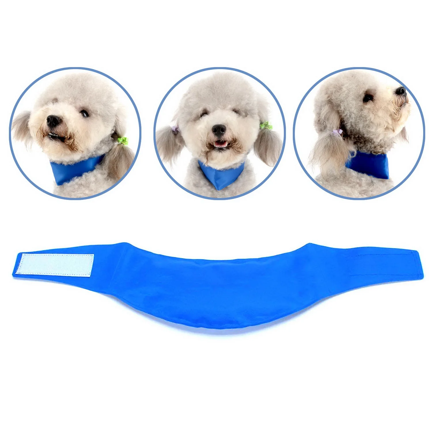 How To Use Chill Out Dog Bandana