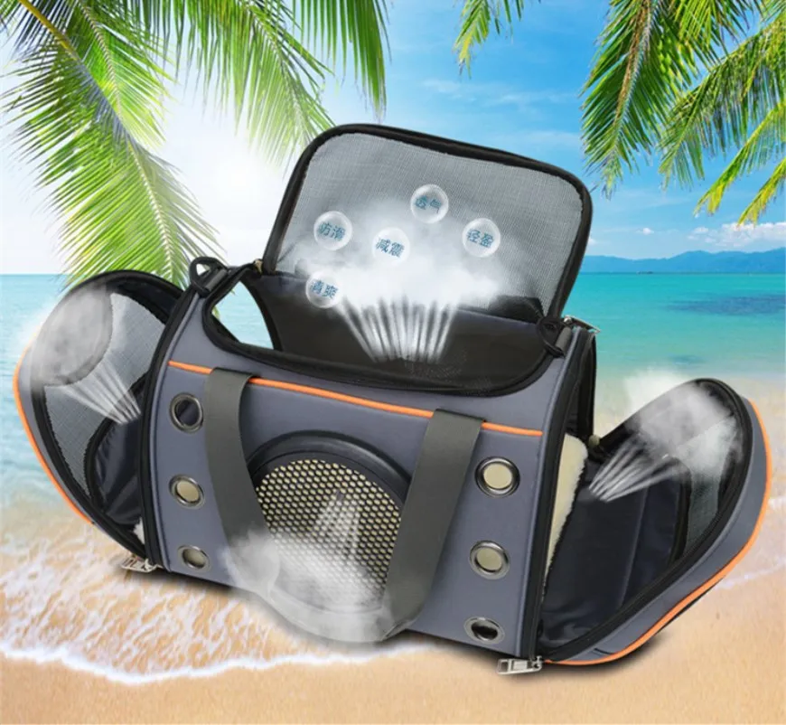 5288351041_1041227635_