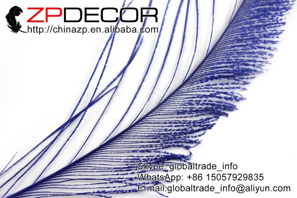 Royal blue peacock swords feathers (6)