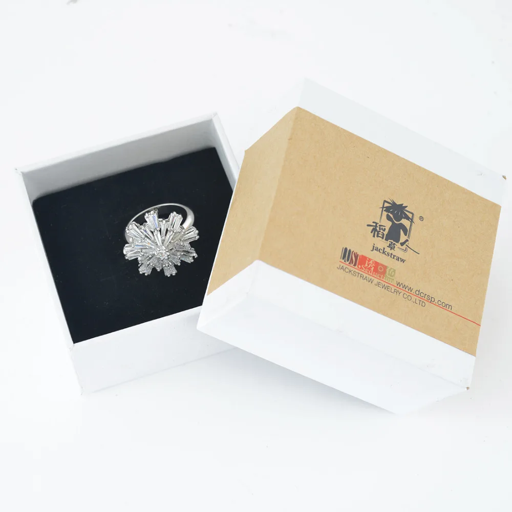 DSC_5301