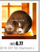 AeProduct.getSubject ()