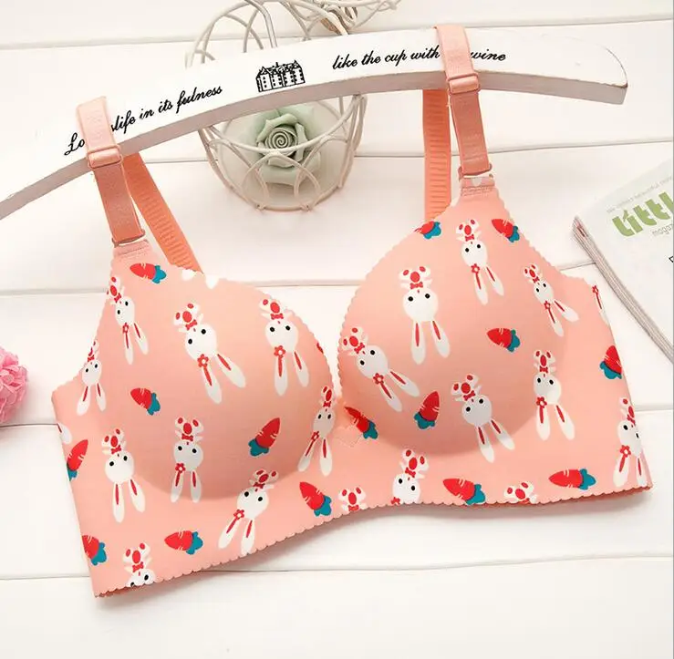 

Baharcelin Sexy Woman Young Girl Push Up Bra seamless French Romantic Gathered bra printed anima bra cute sweet bra underwear