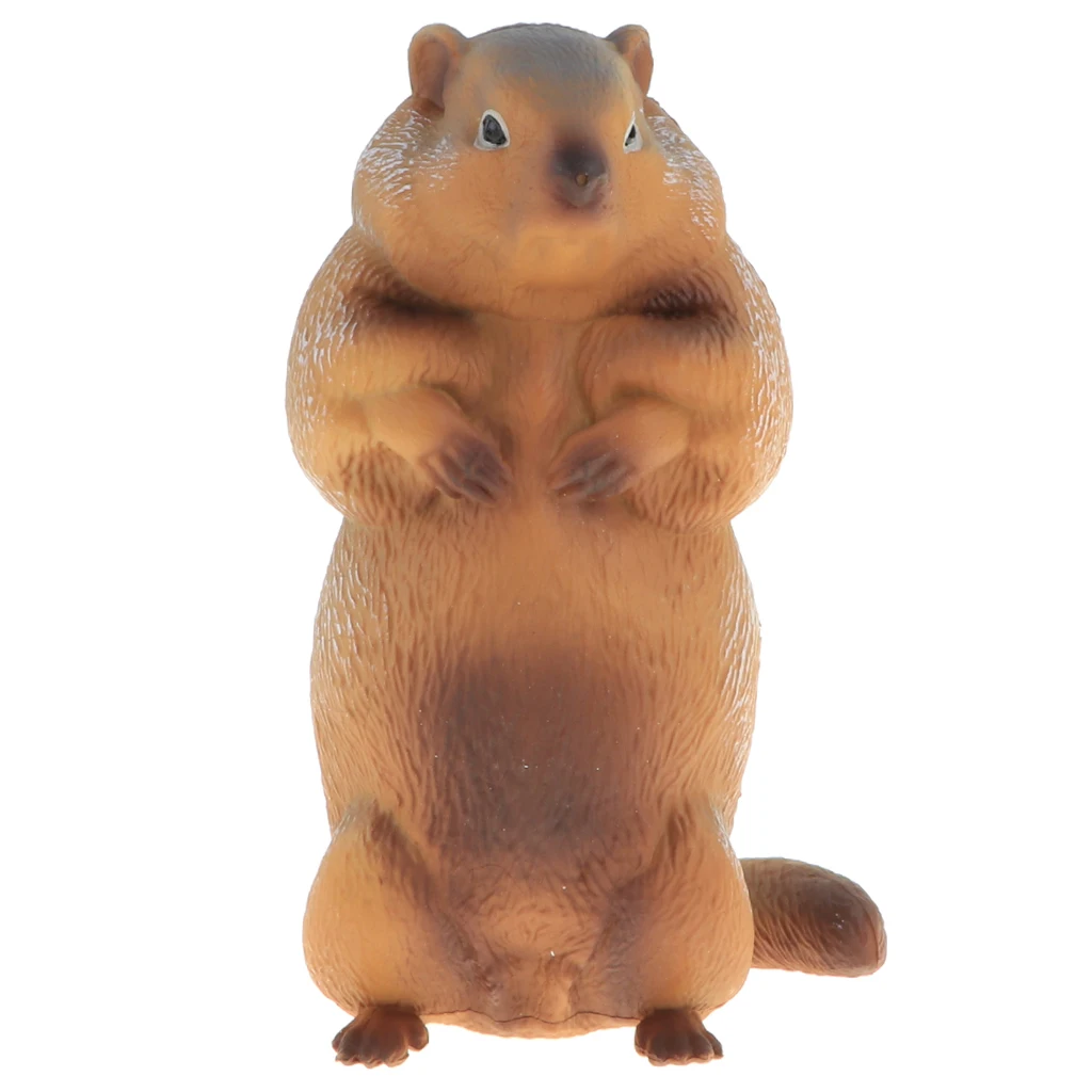 2pcs Simulation Wildlife Animal Model Figurine Kids Science & Nature Toy Collection Home Decoration Party Favors- Marmot