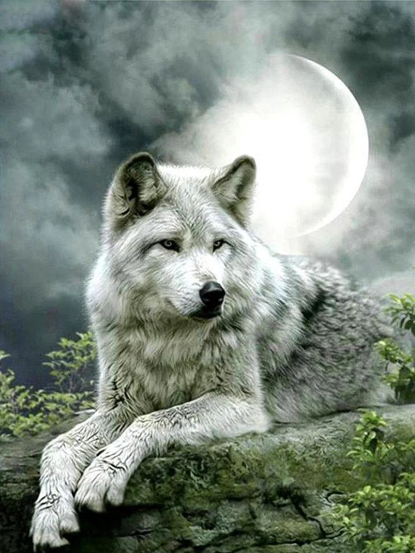 0-ZOOYA-full-square-diamond-5D-DIY-diamond-painting-moonlight-wolf-3D-embroidery-Cross-Stitch-Rhinestone-mosaic_2000x