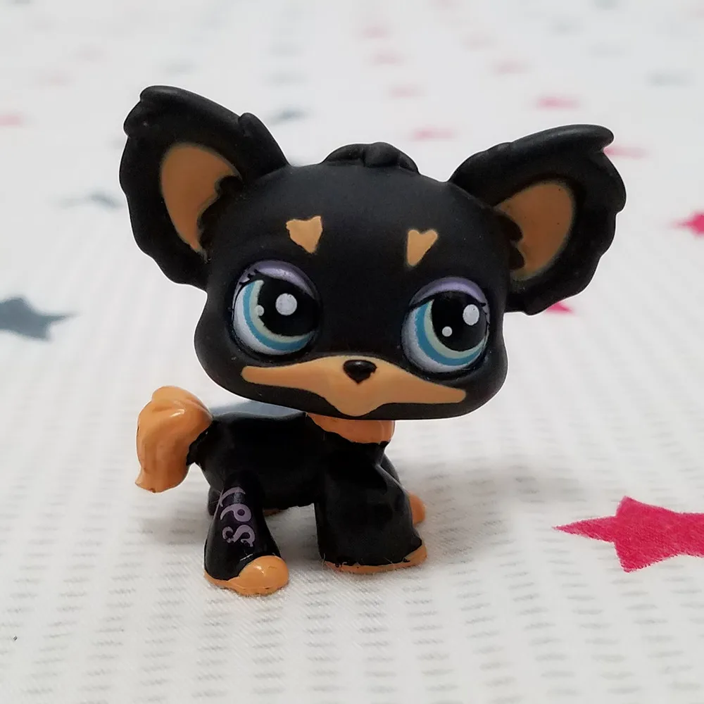 lps dogs image gallery lps dogs lps dogs image gallery lps dogs