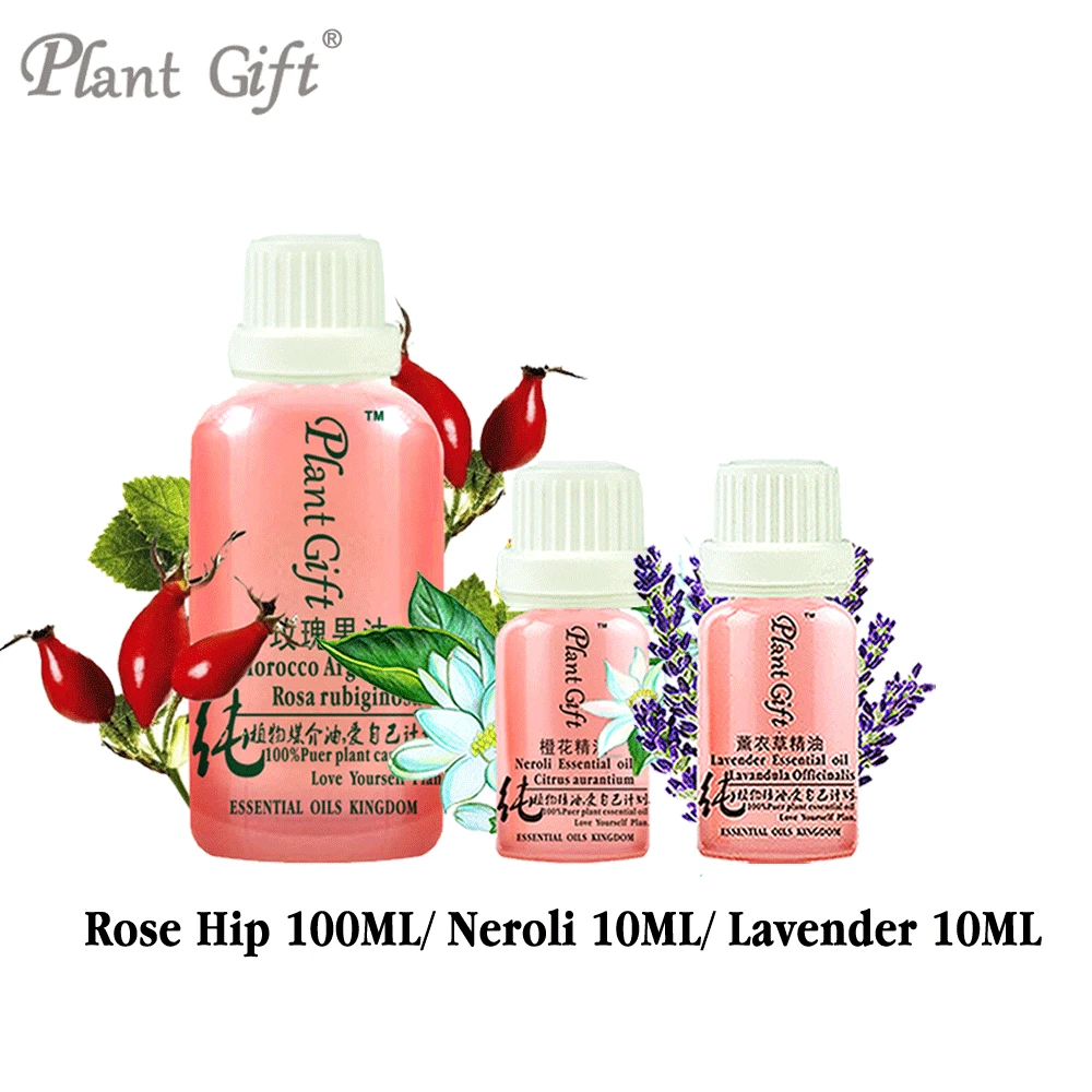 100% Pure Plant Base Oil Essential Oils Chile Rose Hip / Neroli / Lavender Oil 100ml Promote Blood Circulation Detox Rose Hip