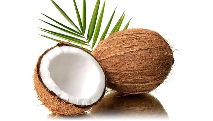 36020170819111712728