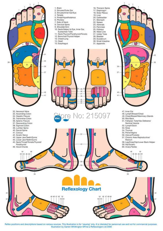 B1266 Electro-magnetic-Wave-Pulse-Circulation-far-infrared-anion-therapy-foot-therapeutic-massager-machine-reflexology-booster (7)