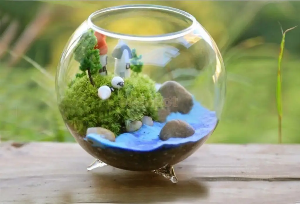 2 Pieces Glass Hydroponic Vase Micro Landscape DIY Bottle Terrarium Container