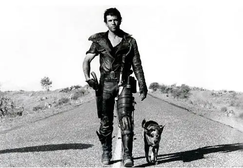 

Mad Max Classic Action Movie Art Wall Decor Silk Print Poster