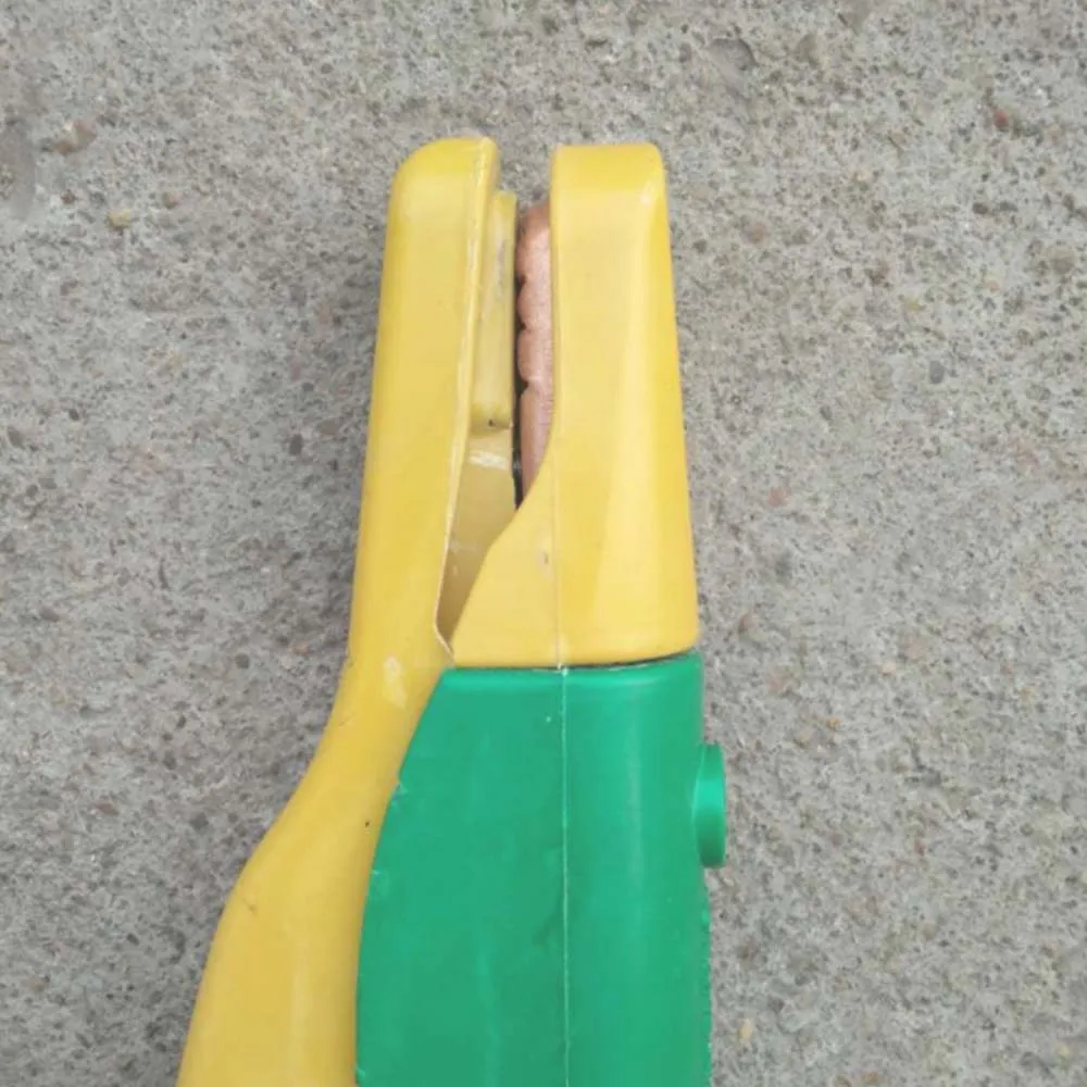 B (6)