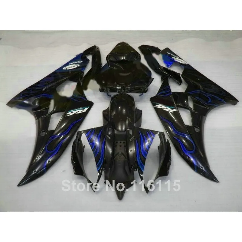 R6-06-029