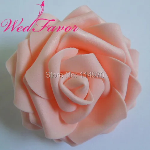 DSCN5149