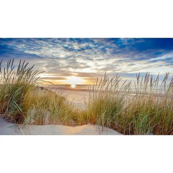 

Duinen