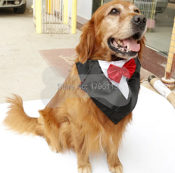 Большой собаки модные свадебные галстуки поставки больших собак красивый галстук-бабочка Уход Аксессуары для животных Pet Галстуки