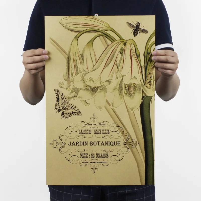 

Herbs C/ leaf vein pattern / Botany / plant /kraft paper/bar poster/Retro Poster/decorative painting 51x35.5cm Free shipping