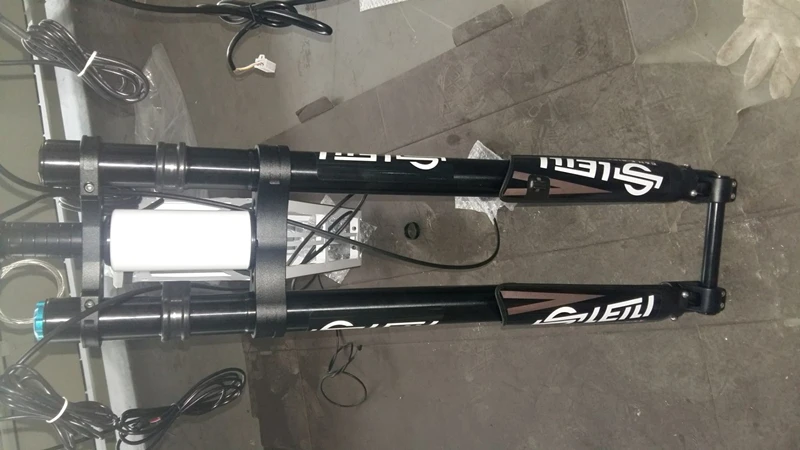 Leili front fork_