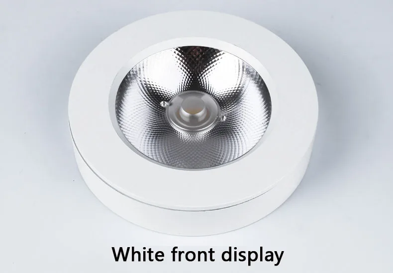 LED downlight Surface Mounted 3W 5W 7w 10W 15W Ceiling Lamps Ultra Thin Driverless led spotlights 220V Ceiling Fixtures Lighting