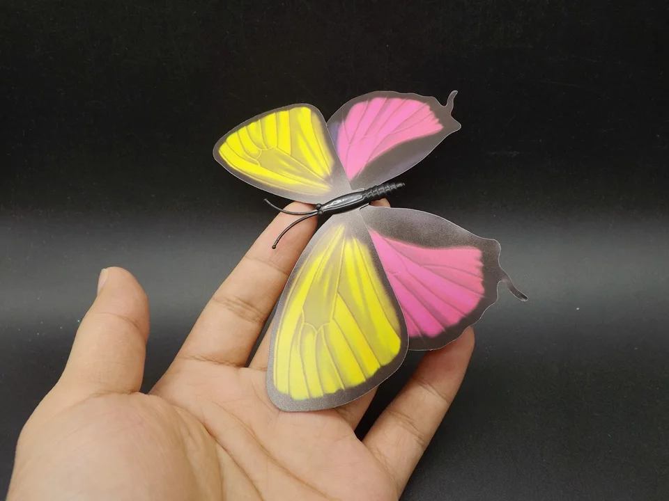 I236-Butterfly (2)