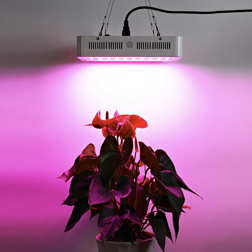 Texsens Led Grow Light полный спектр 600 Вт 1500 для домашняя игровая палатка теплицы